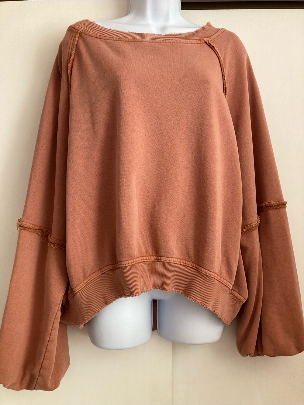Free People Sweet Deets Oversized Slouchy Bateau Raw Edge Sweatshirt, Sz M